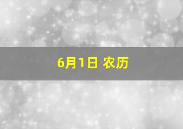 6月1日 农历